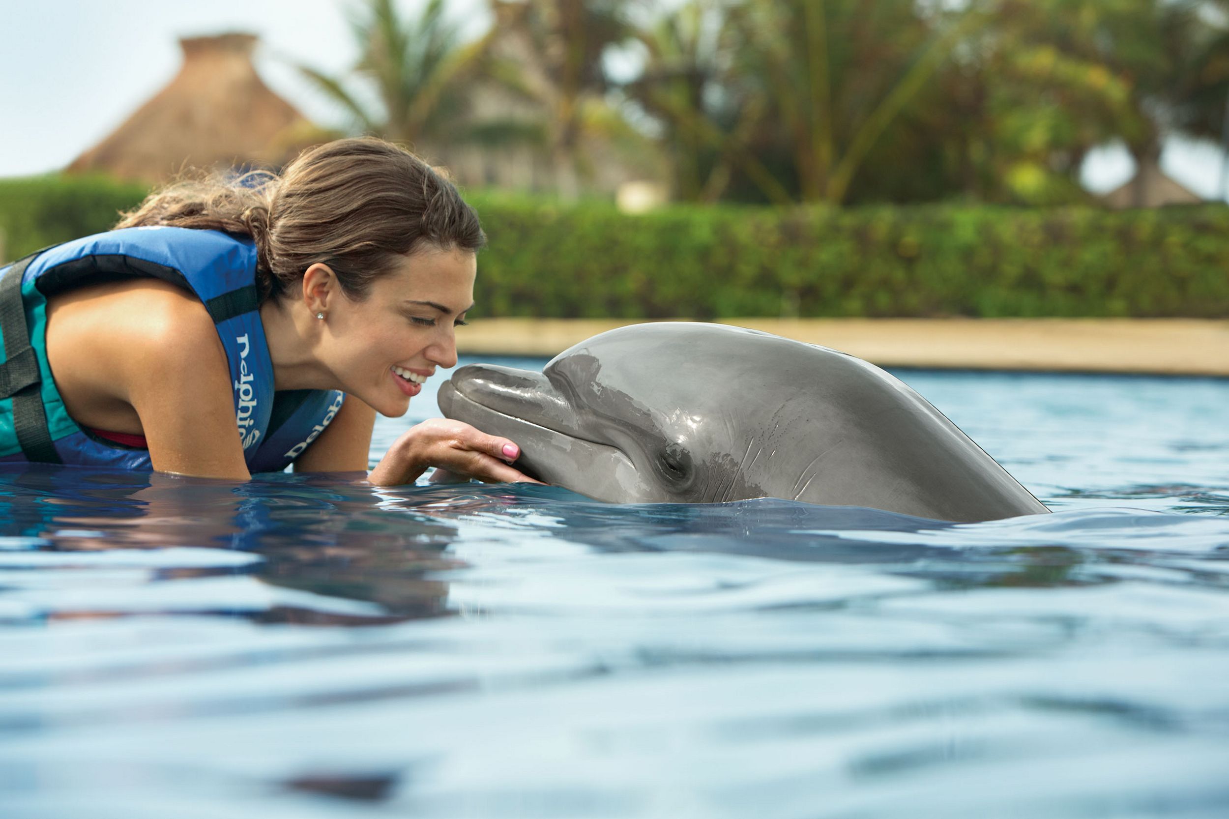 Удовольствие с дельфином. Плавание с дельфинами. Человек Дельфин. Бассейн Дельфин. Дельфины и люди.